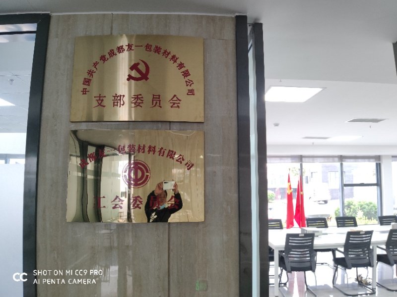 热烈祝贺尊龙凯时集团成都分公司党支部在2020年3月11日授牌成立，，，，，，，，支部书记曹云(行政部经理)
