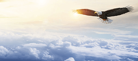 人生就是博-尊龙凯时中国官网